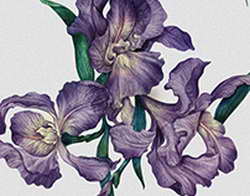 Крипто-быкам не удаётся удерживать инициативу