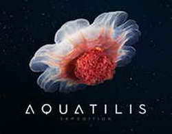 «Сколково» провёл подведение итогов: выручка ИТ-стартапов превысила 480 млрд руб