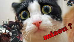 Фондовый рынок, Daily history за 30 октября 2025 г.