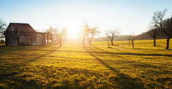 Фондовый рынок, Daily history за 28 октября 2025 г.